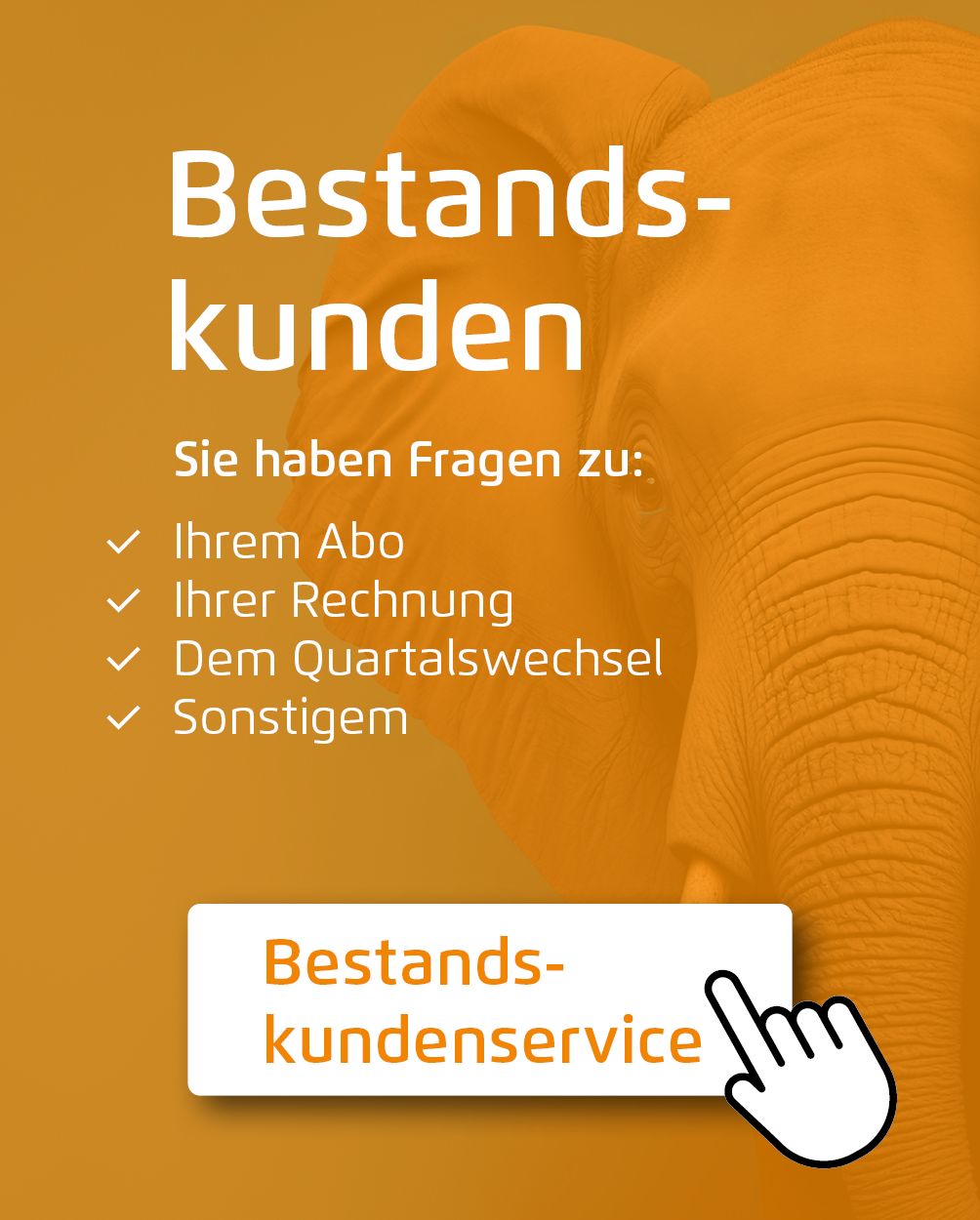 Elefant_BK-Kundenservice6