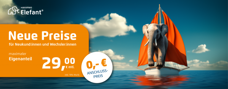 HASOMED_Startseite_Banner_Elefant_Segelboot_brutto