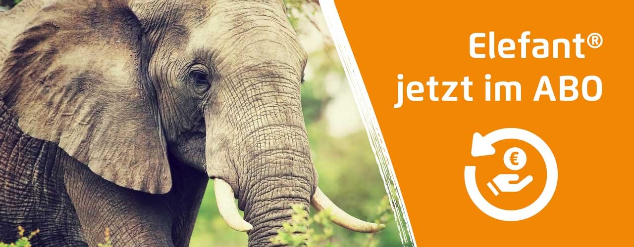 Elefant_Newsletter-Banner-1280x500_Logo-Jetzt-ABO_2022-11-14